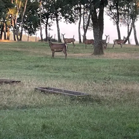 Holiday home Le Herou Houffalize