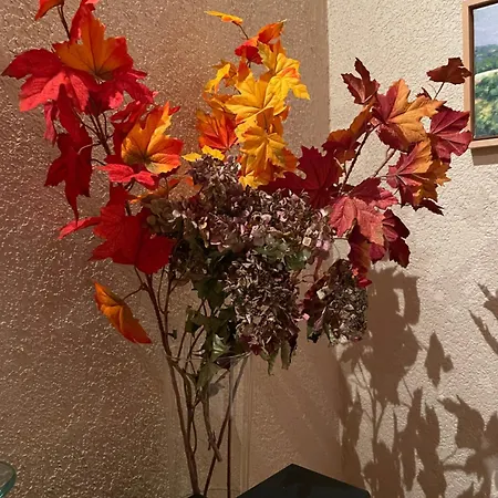 Le Herou Holiday home