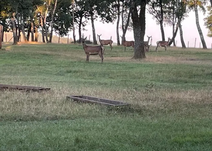 Holiday home Le Herou Houffalize