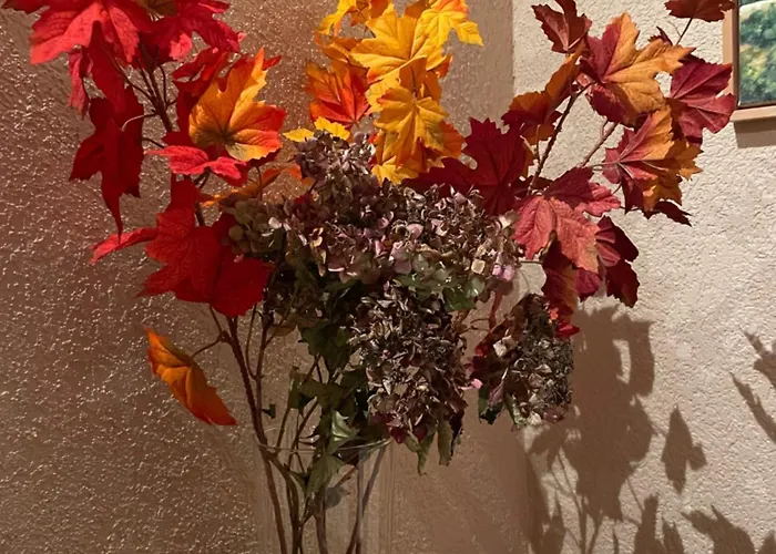 Le Herou Casa de Férias